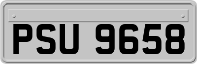 PSU9658
