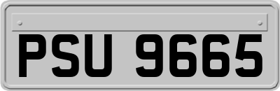 PSU9665