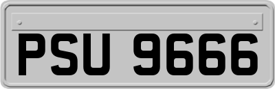 PSU9666