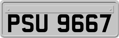 PSU9667
