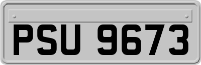 PSU9673