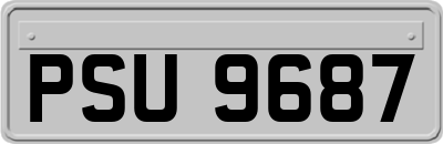 PSU9687
