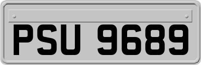 PSU9689