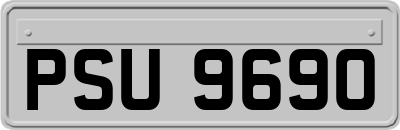 PSU9690