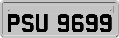 PSU9699