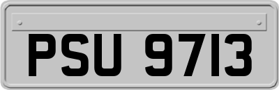 PSU9713