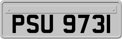 PSU9731