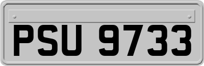 PSU9733