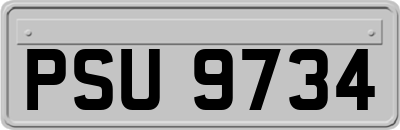 PSU9734
