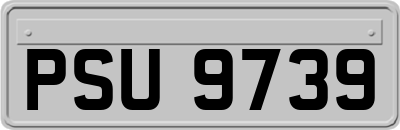PSU9739