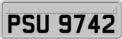 PSU9742