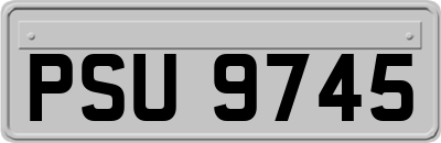 PSU9745