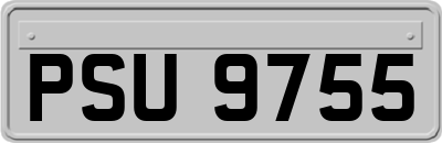 PSU9755