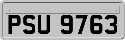 PSU9763