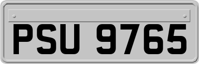 PSU9765