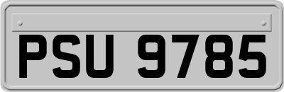 PSU9785