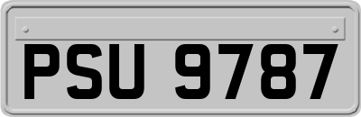PSU9787