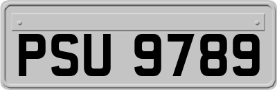 PSU9789