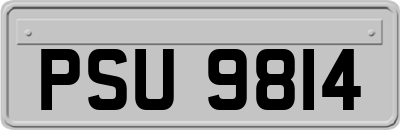 PSU9814