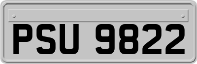 PSU9822