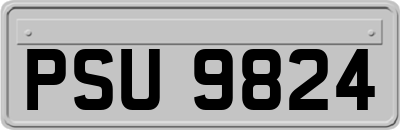 PSU9824