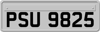PSU9825