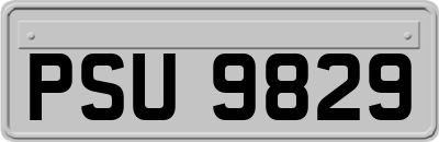 PSU9829