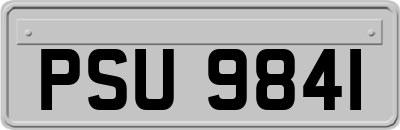 PSU9841