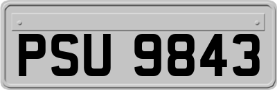 PSU9843