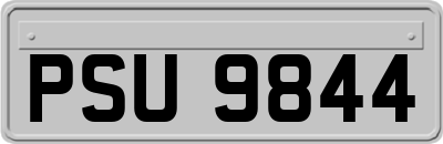 PSU9844