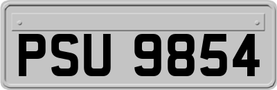 PSU9854