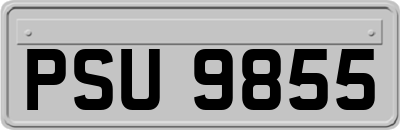 PSU9855