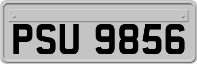 PSU9856