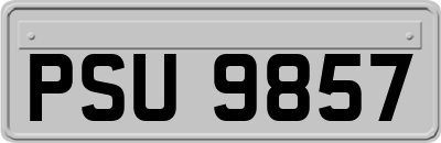 PSU9857