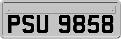 PSU9858