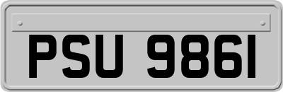 PSU9861