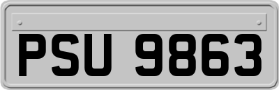 PSU9863
