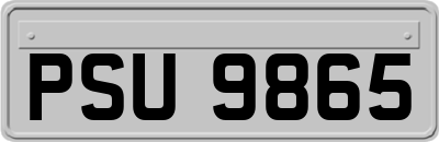 PSU9865