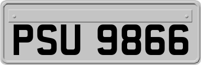 PSU9866