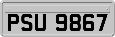 PSU9867