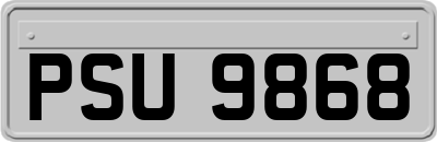 PSU9868
