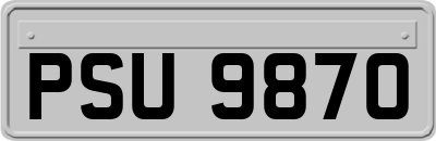 PSU9870