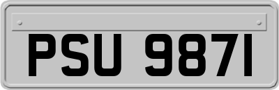 PSU9871