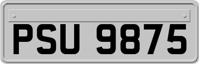 PSU9875
