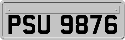 PSU9876