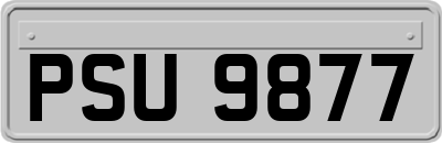 PSU9877