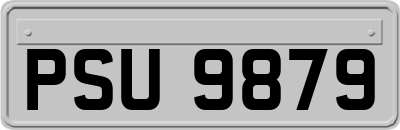PSU9879