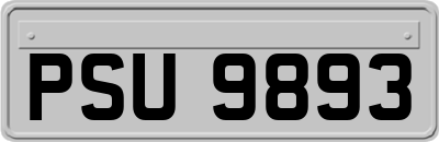 PSU9893