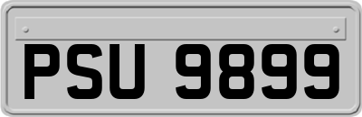 PSU9899