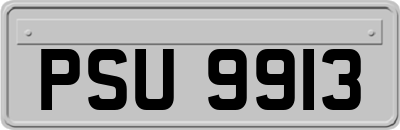 PSU9913